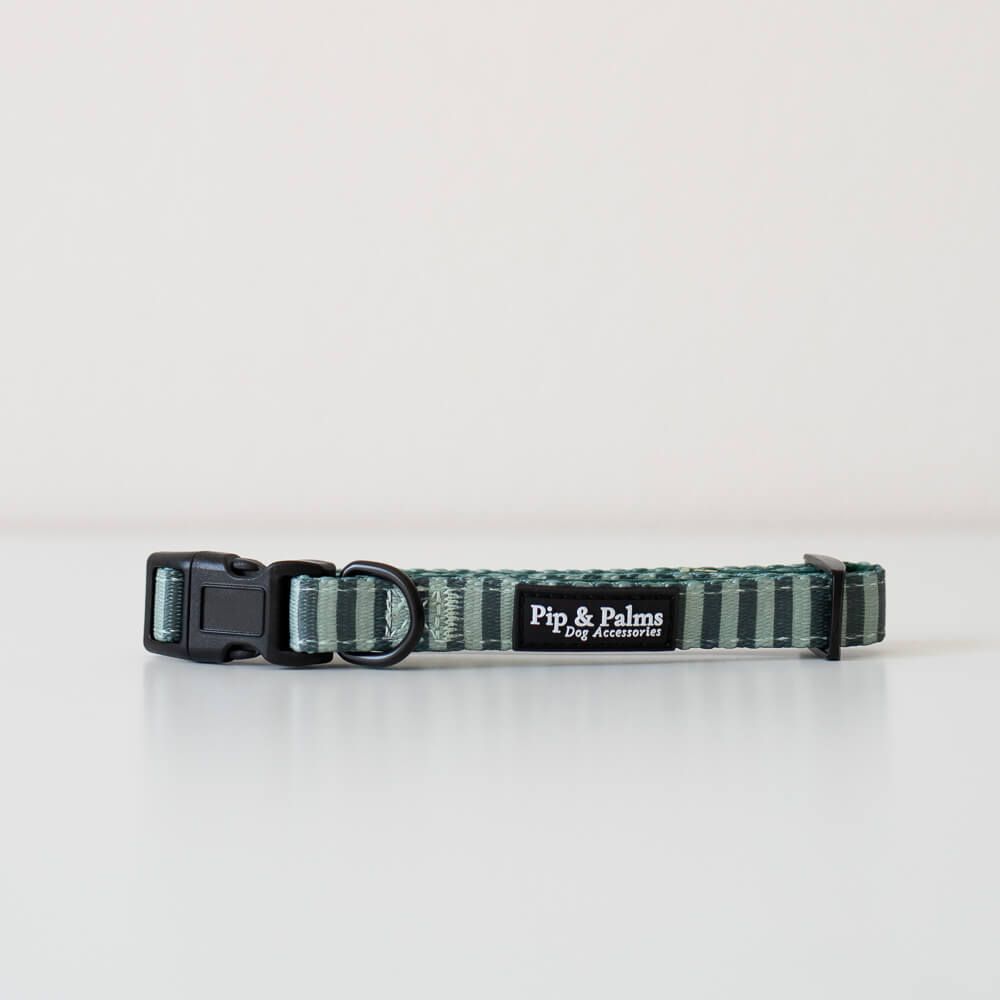 Halsband