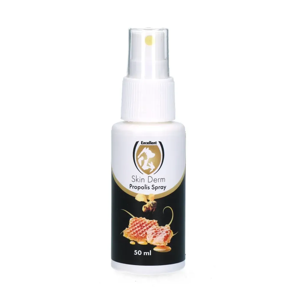 Skin Derm