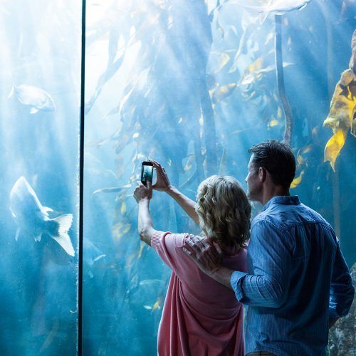 Two people taking a photo of fish behind blue aquarium glass
