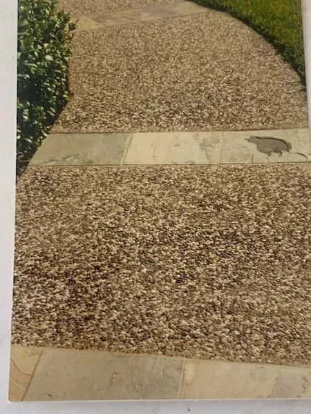 Pebble walkway with concrete strips, bordered by grass and plants