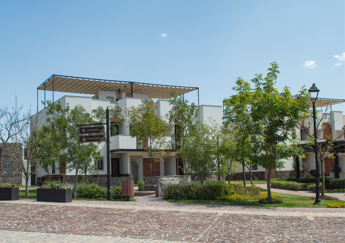 Una impresión artística de un parque con árboles y arbustos.