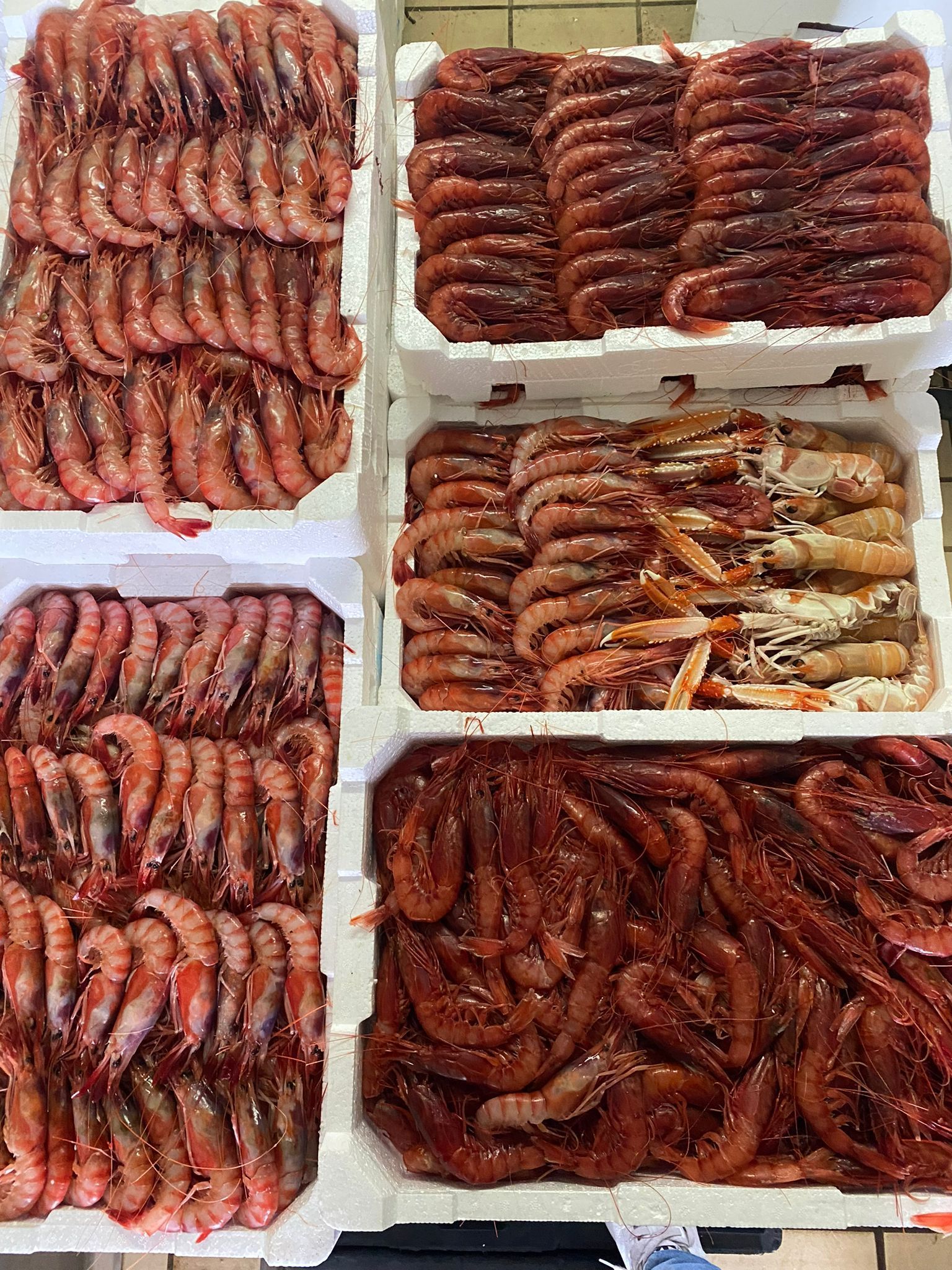 RUM PESCHERIA