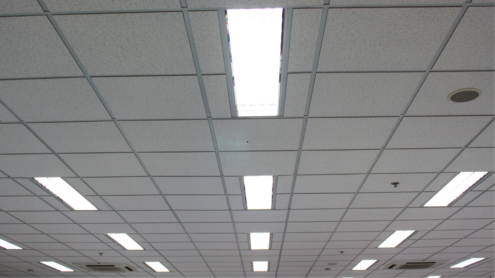 Ceiling with white acoustic tiles and long fluorescent light panels in an office-like interior.