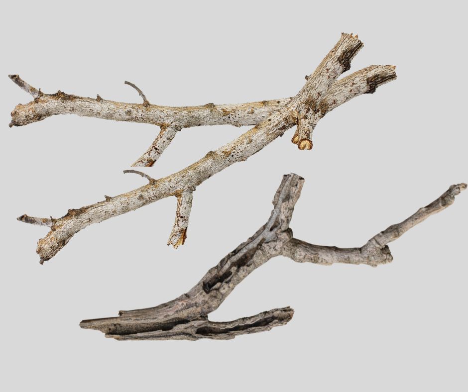 Three weathered tree branches against a light gray background.