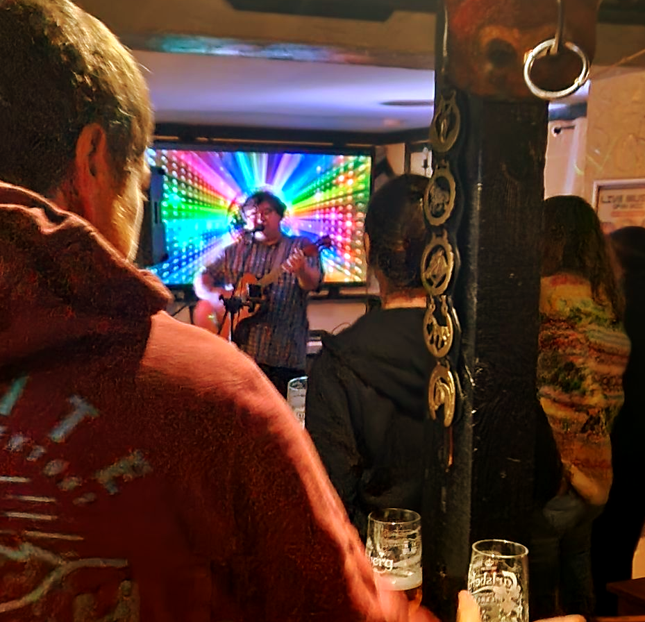 Sam, bookable musician performing for a party at the Three Horseshoes