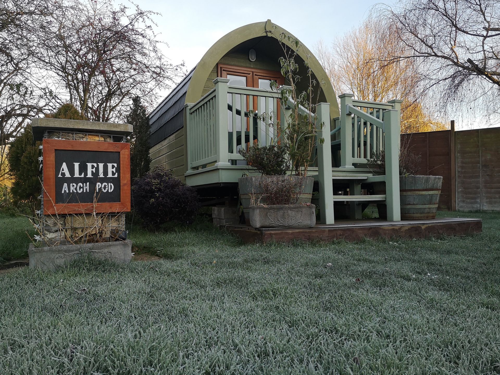Alfie pod in winter