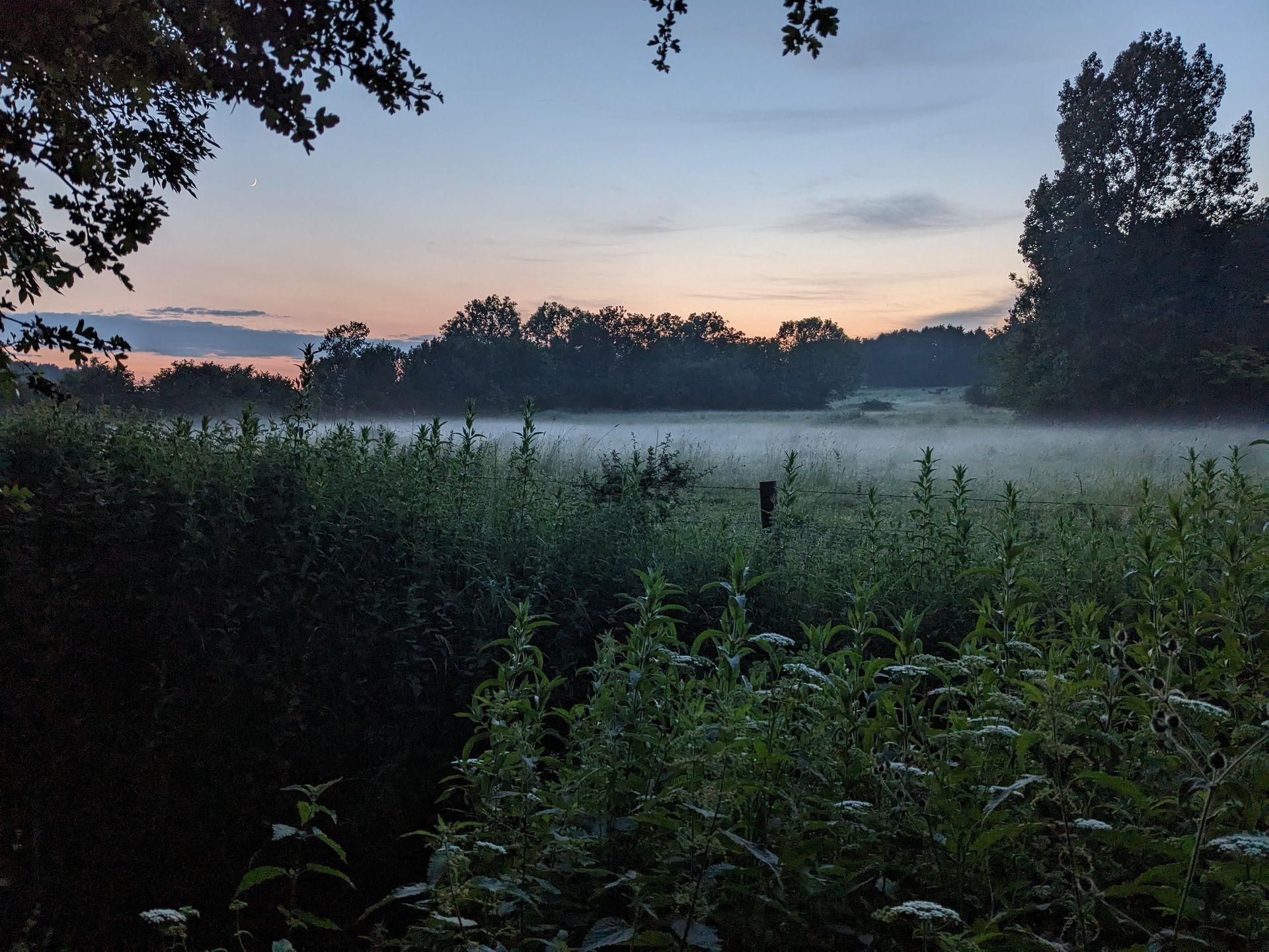 Misty morning from the Three Horseshoes campsite.