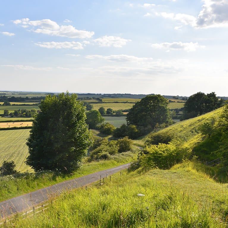 Red Hill Nature Reserve, from Visit Lincolnshire
