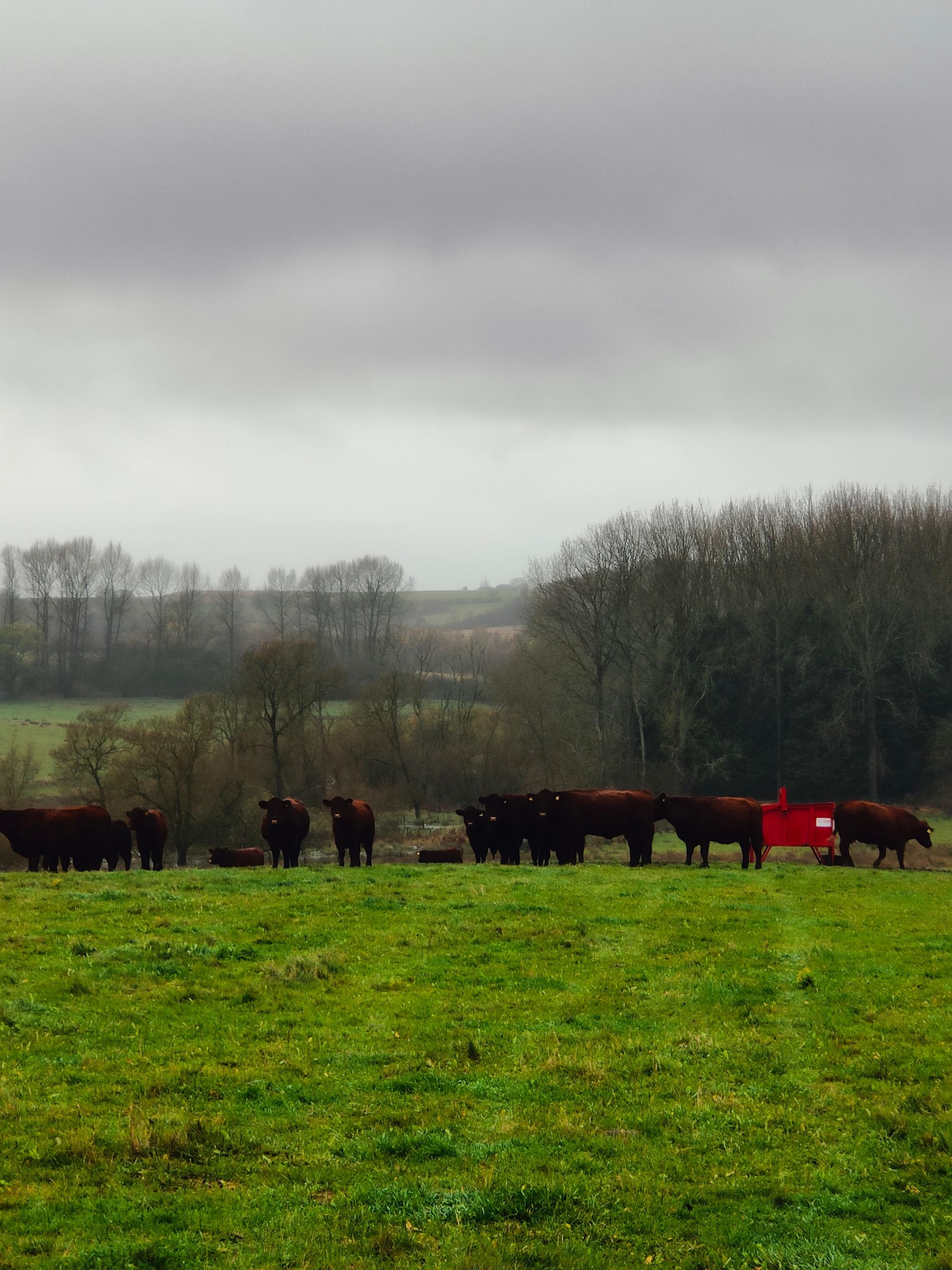 winter landscape lincolnshire wolds