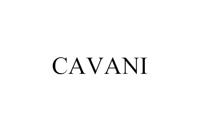 Black serif text “CAVANI” centered on a white background