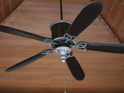 Ceiling Fan Ceiling Fan