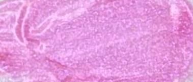 Strobe Lip Gloss