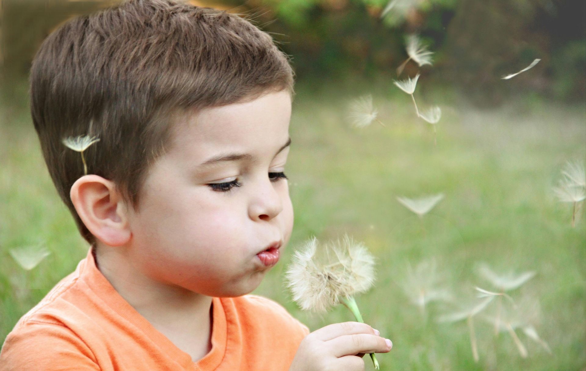 Young child with brown hair in an orange shirt blowing dandelion seeds in a grassy field.