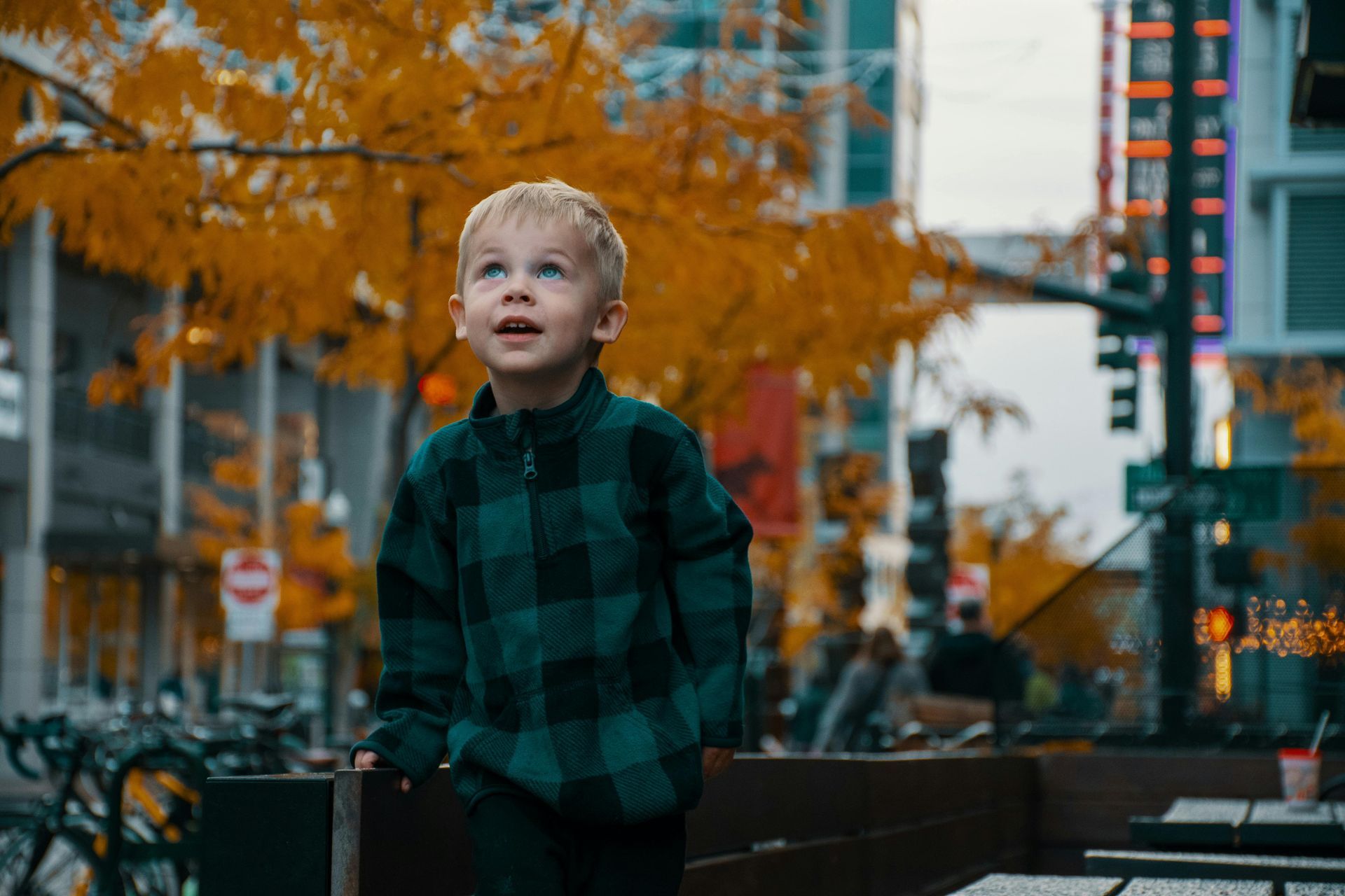 Blond boy in green plaid jacket looks upward in autumn city scene.