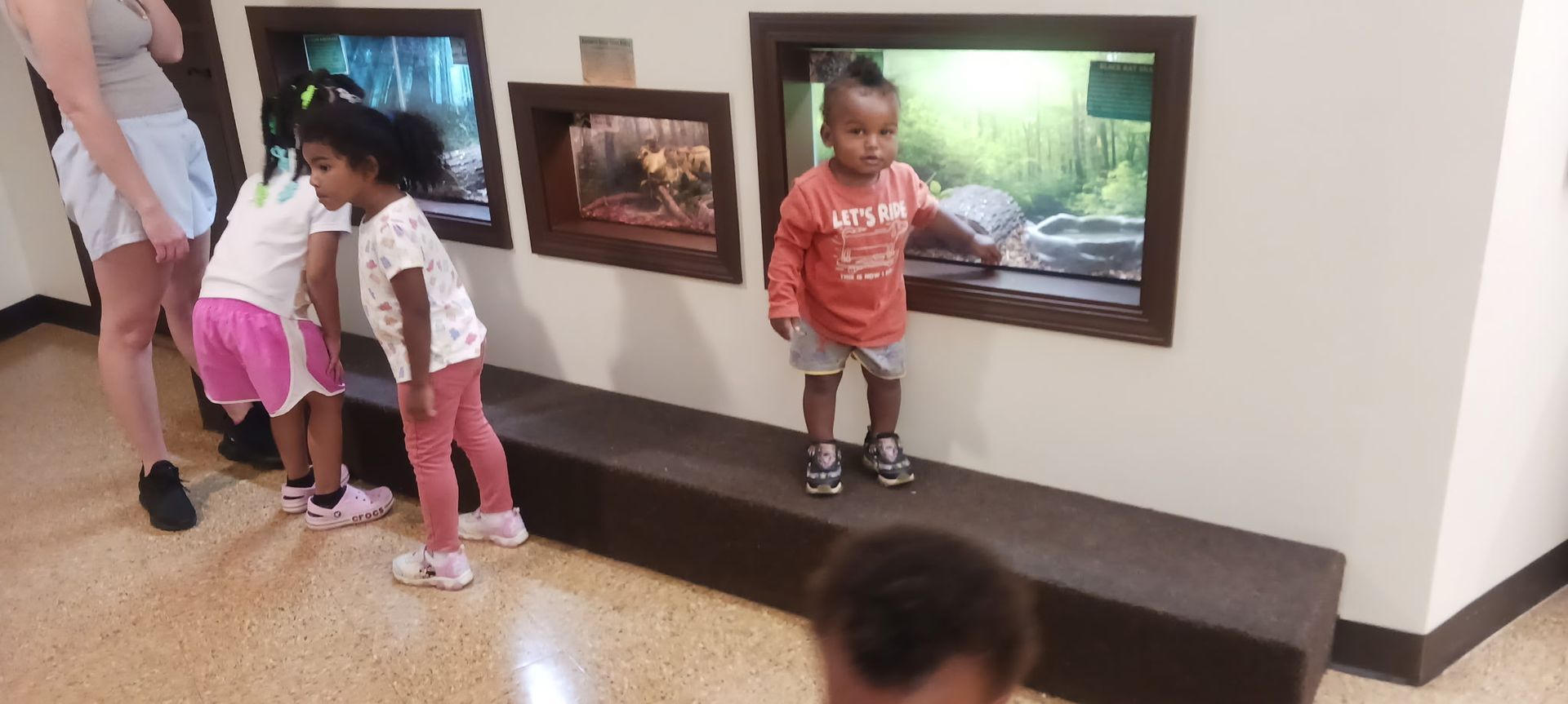 Children looking into built-in aquarium windows beside a bench in a hallway