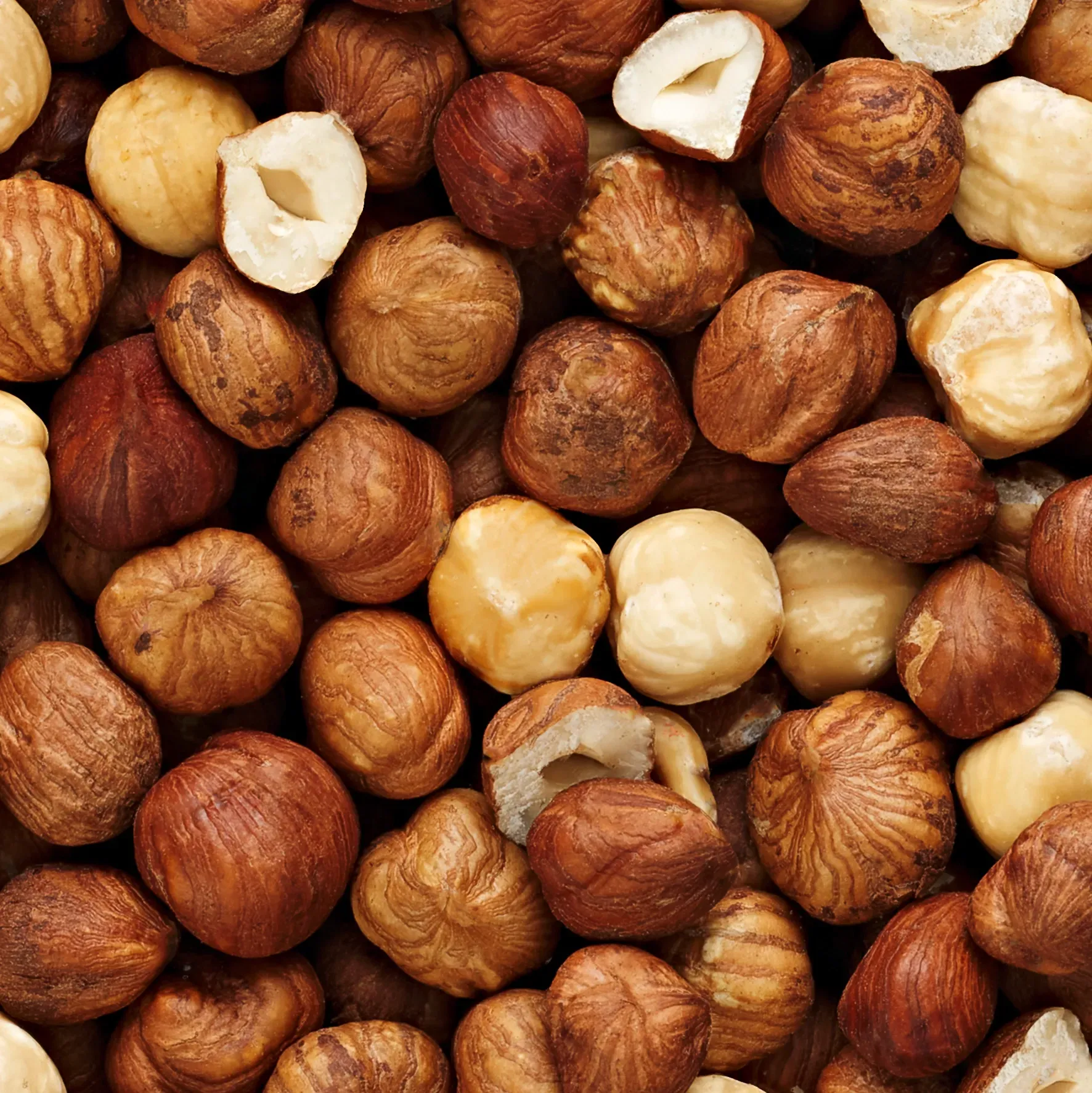 A pile of hazelnuts with one being peeled