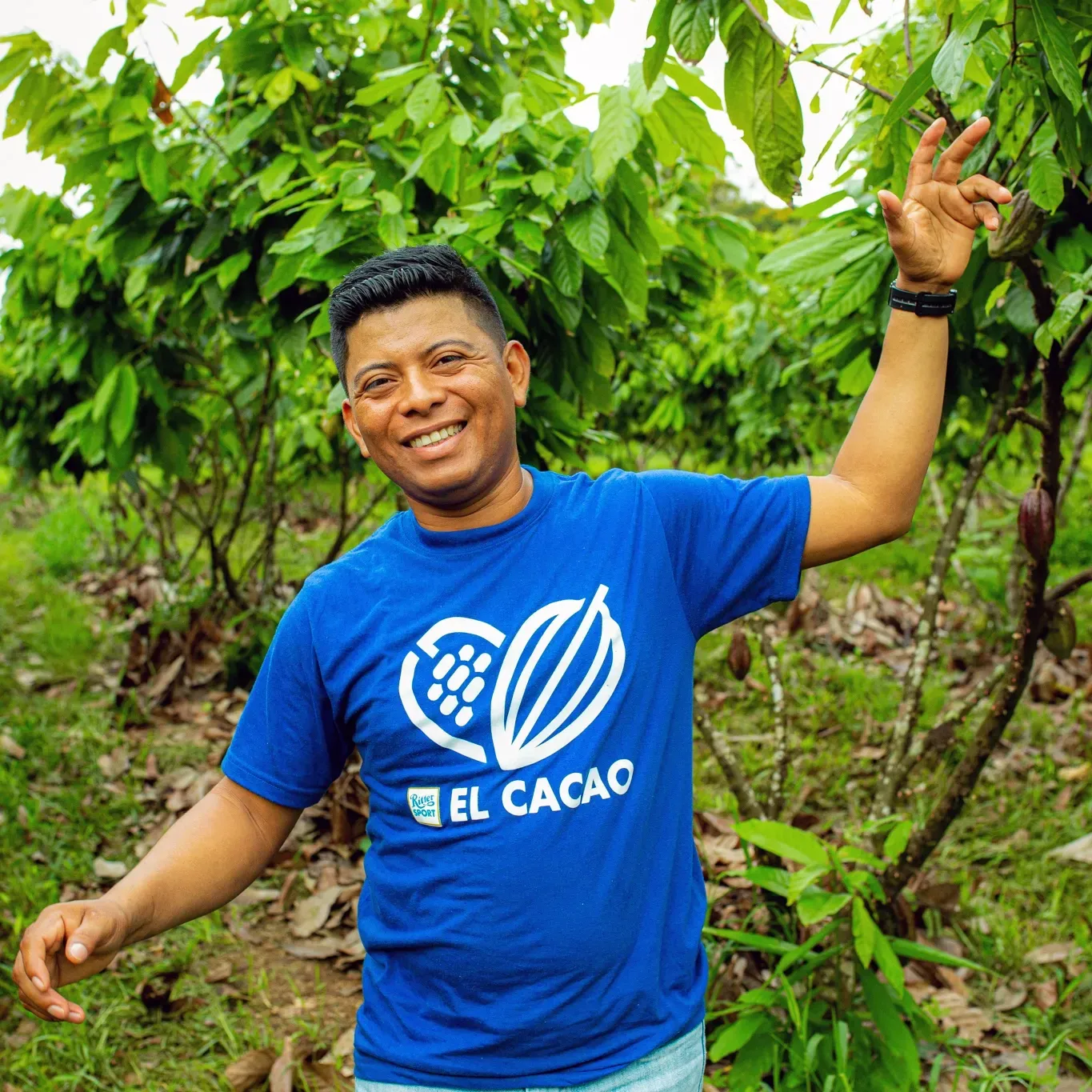A man in a blue shirt is standing in front of a cacao tree.