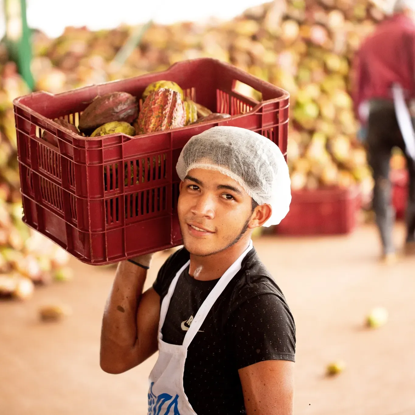 A man is carrying a crate of fruit on his head