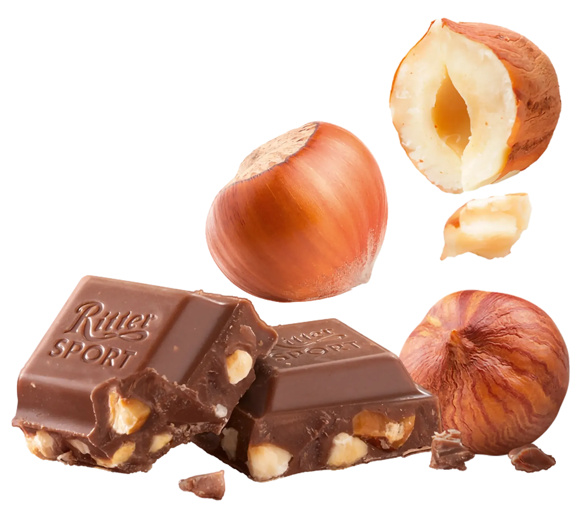 Chocolate bar with visible hazelnuts, with whole and halved hazelnuts