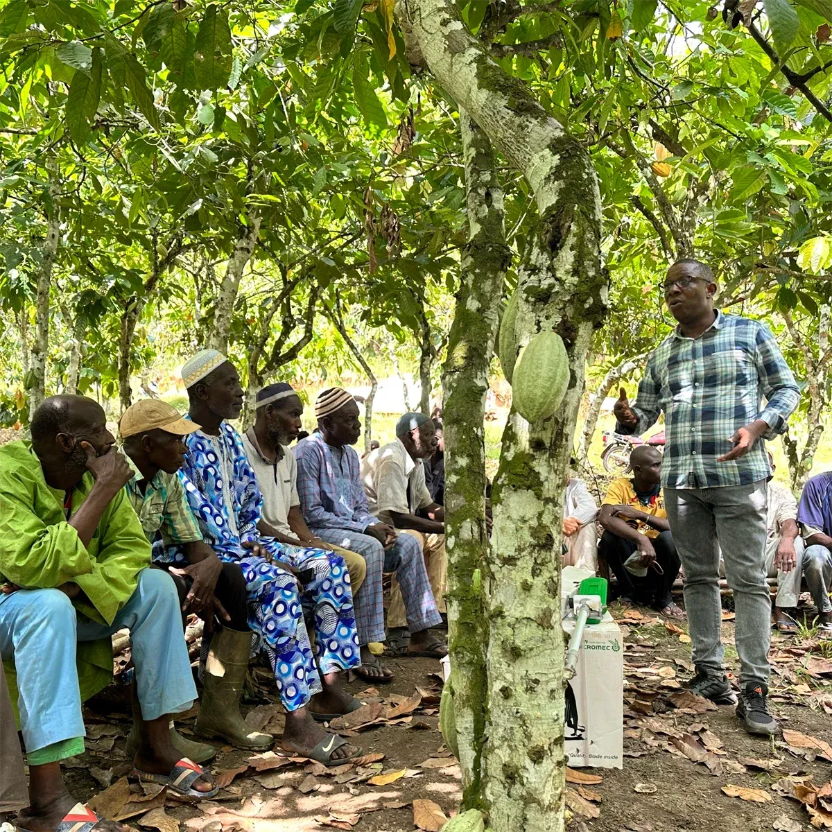 A person speaks to a group seated in an orchard, demonstrating agricultural techniques with a cocoa tree.