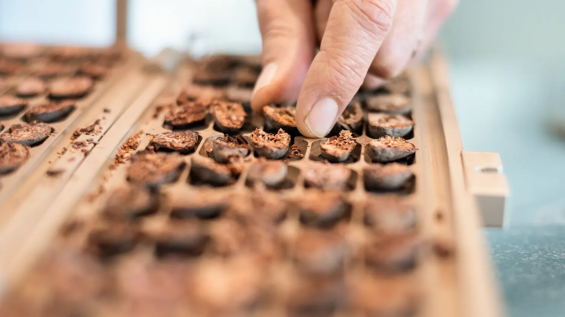A person is reaching into a wooden box filled with chocolate beans.