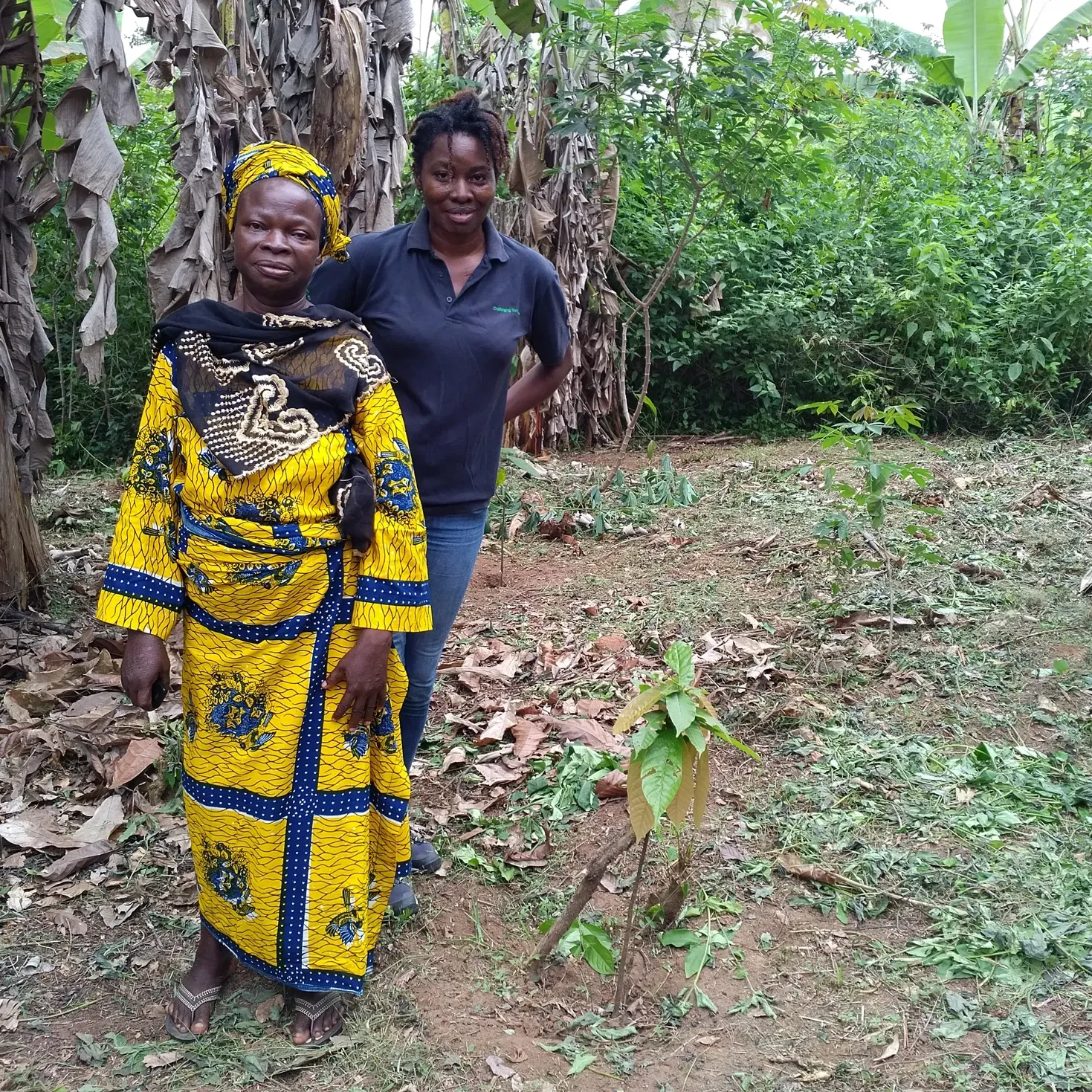 Two women stand in a garden. One wears yellow patterned fabric, the other a navy shirt. Trees and greenery surround them.
