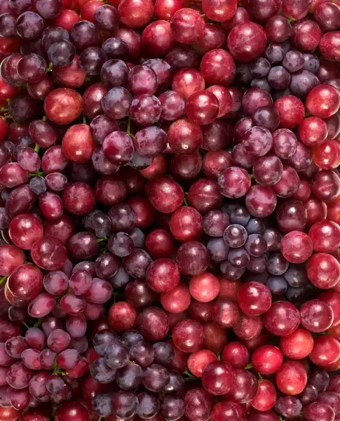RAISINS HAZEL­NUTS