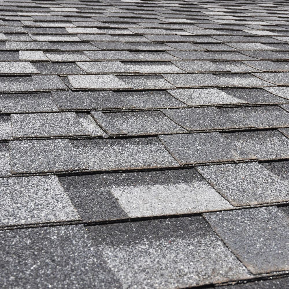 a commercial TPO roof installed by a Layton, Utah roofing company