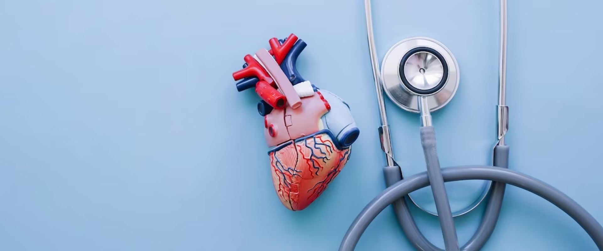 A model of a heart next to a stethoscope on a blue background.