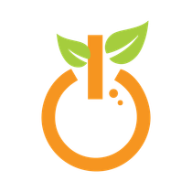 Orange circular fruit icon with green leaves and a small orange stem, suggesting fresh produce or eco-friendly branding