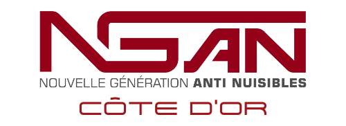 logo de l'entreprise ngan