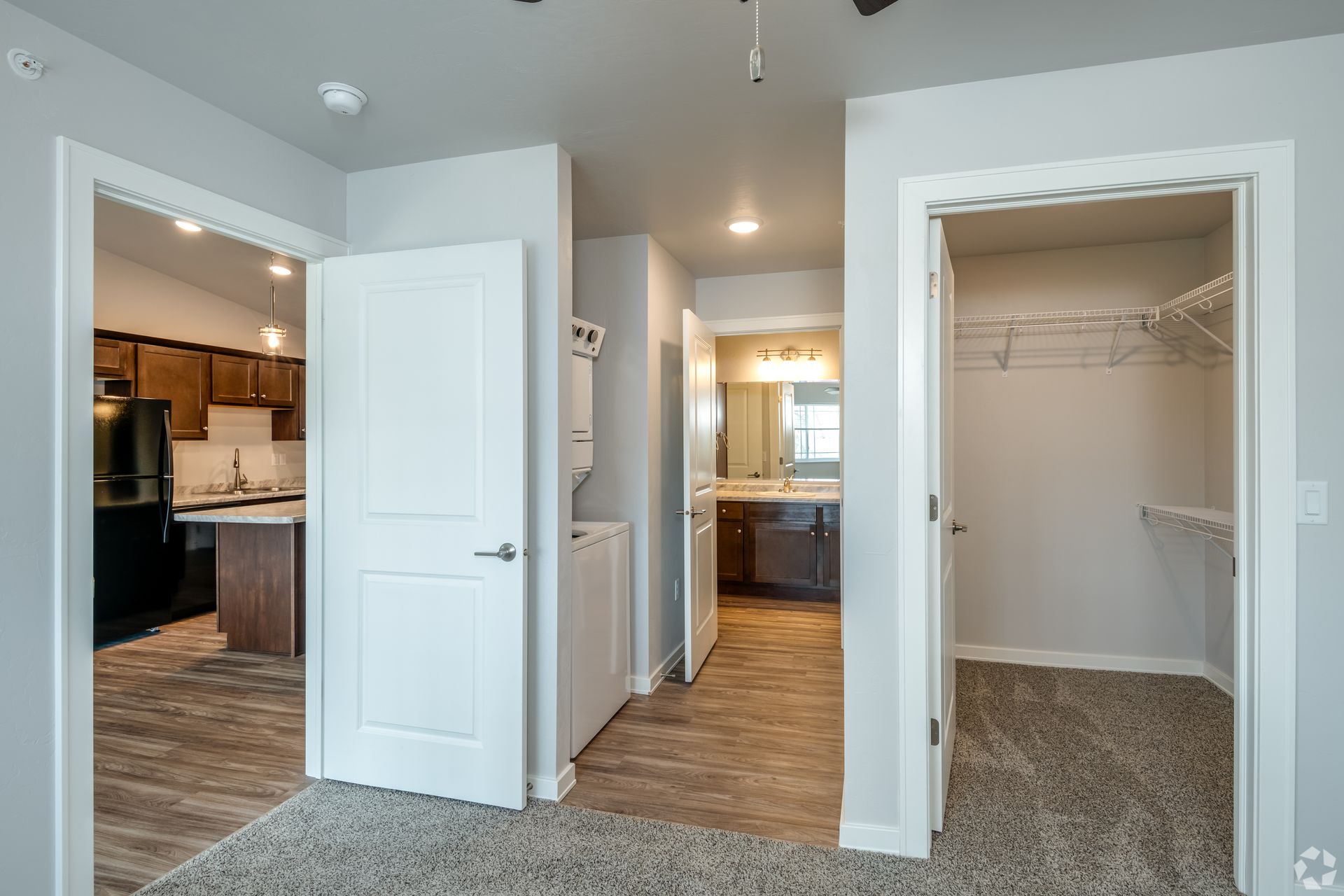 Bright apartment interior with open doors to a kitchen, hallway, and carpeted closet.