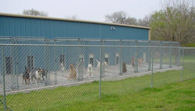 Dog Boarding Service — Argyle, TX — Canine Country Inn Dog Boarding Service — Argyle, TX — Canine Country Inn