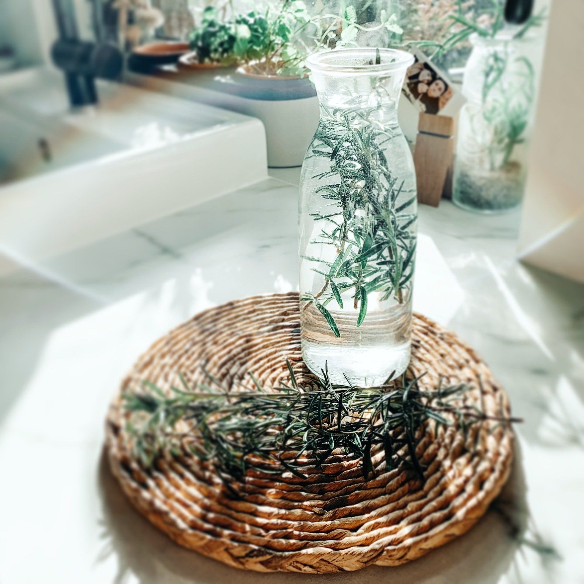 Rozemarijn uit de tuin van Cirkels Lifestyle