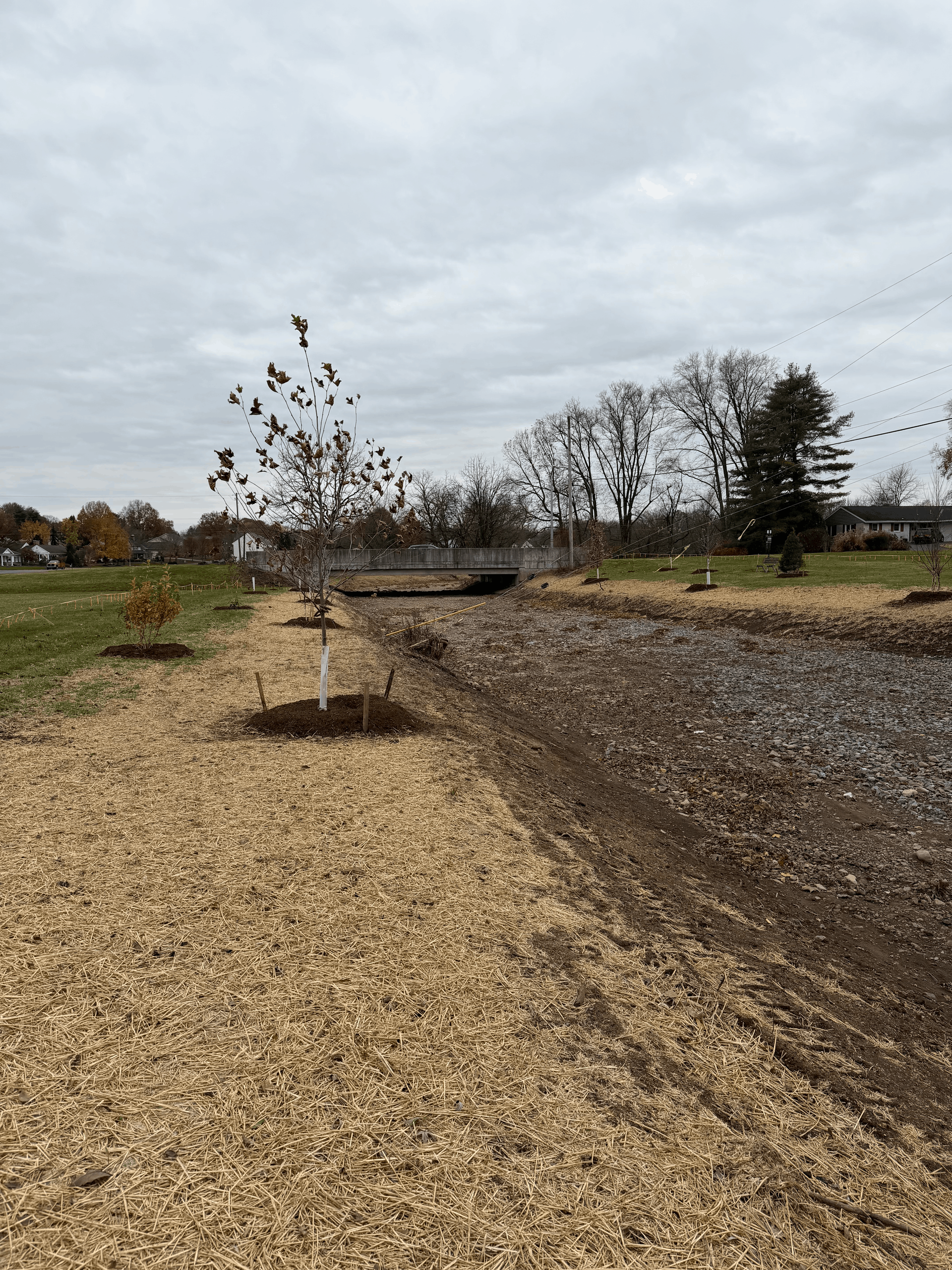 Another section of the park that is being restored.