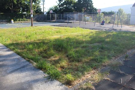 A grassy area next to a sidewalk with a basketball court in the background