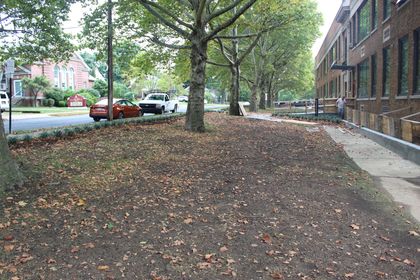 A red car is parked on the side of the road