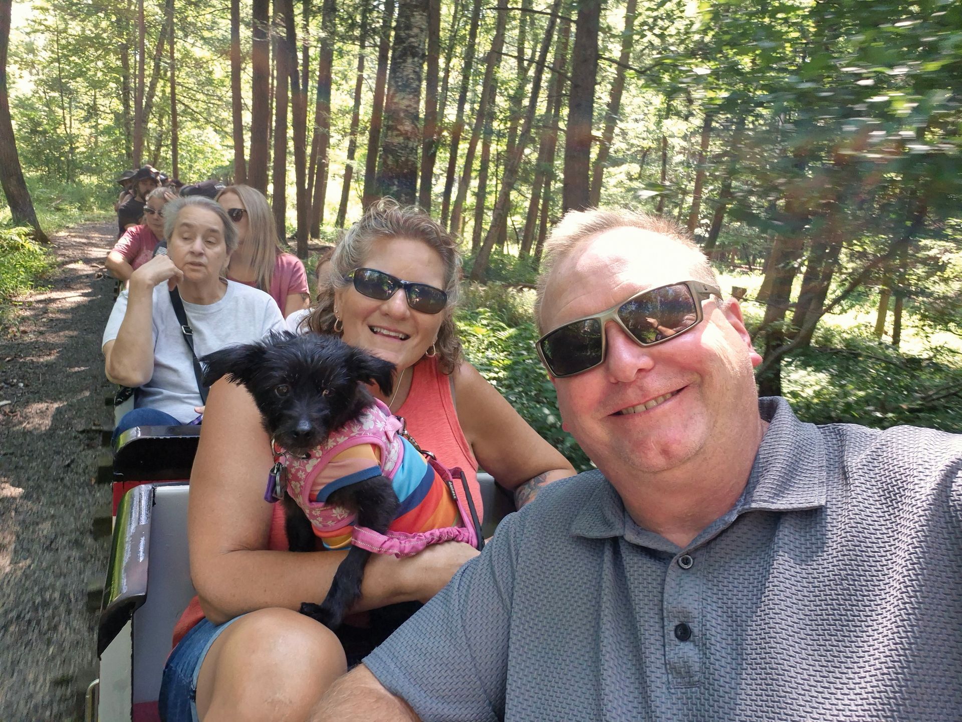 A relaxing train ride!