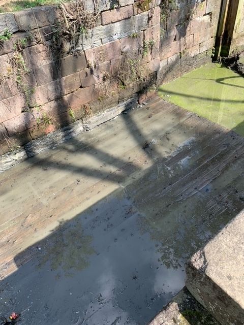 A brick wall is surrounded by a body of water with algae growing on it.