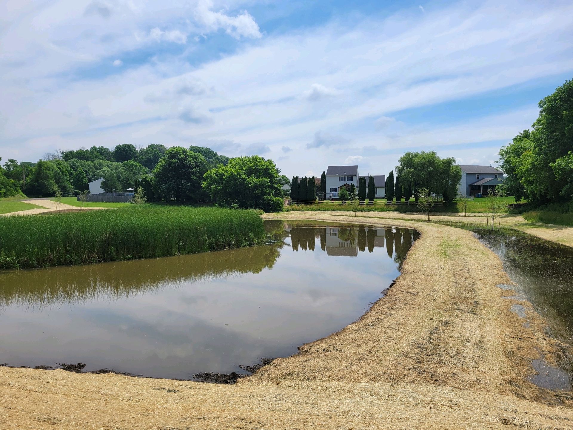 A small pond surrounded by trees and grass with a house in the background.