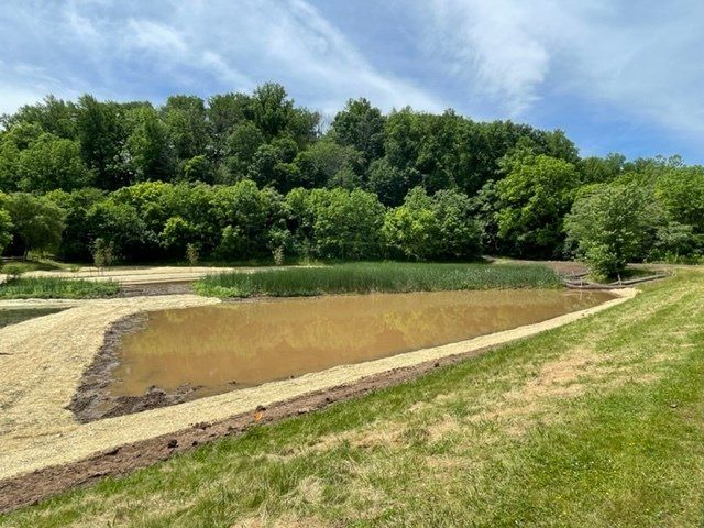 A small pond in the middle of a field with trees in the background.