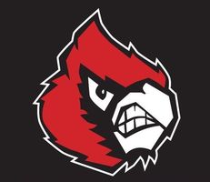 Red and white angry bird mascot logo with a clenched beak on a dark background