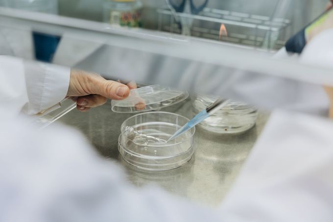 研發人員於統荃生醫天然物中央研究所使用移液槍與微生物培養皿進行試驗。通過 TAF 國家微生物檢驗實驗室認證,建立國際標準自主檢測能力,為產品構築合規防線。