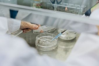 圖片為統荃生醫的微生物檢驗實驗室中，為品牌主進行原料成分的合規性檢驗、功效指標成分鑑定的示意圖