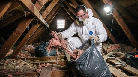 Male removing old, worn out insulation from an attic