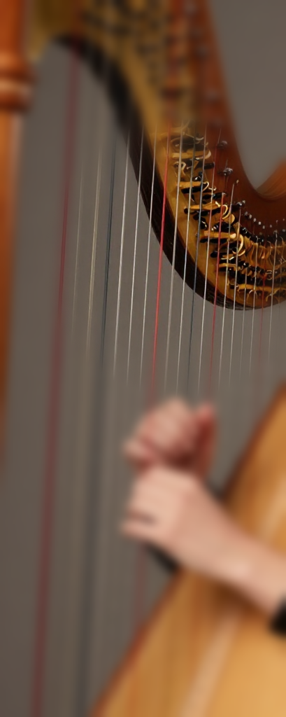 Close-up van handen die een harp bespelen, waarbij de snaren scherp in beeld zijn.