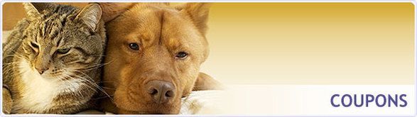 A dog and a cat are sitting next to each other with the words coupons below them