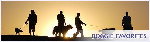 A group of people walking their dogs with the words doggie favorites below them