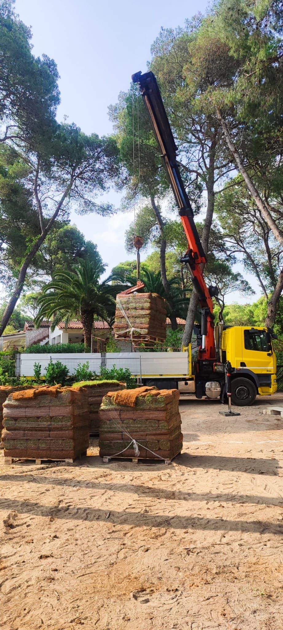 Una gru da costruzione gialla solleva lunghi pali neri accanto a tronchi accatastati in un cortile esterno alberato.