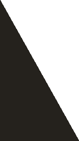 Forma geometrica diagonale in bianco e nero che riempie la cornice
